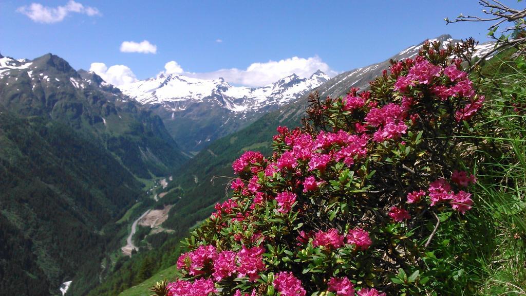 Apartmán Simiterhof Matrei in Osttirol Exteriér fotografie