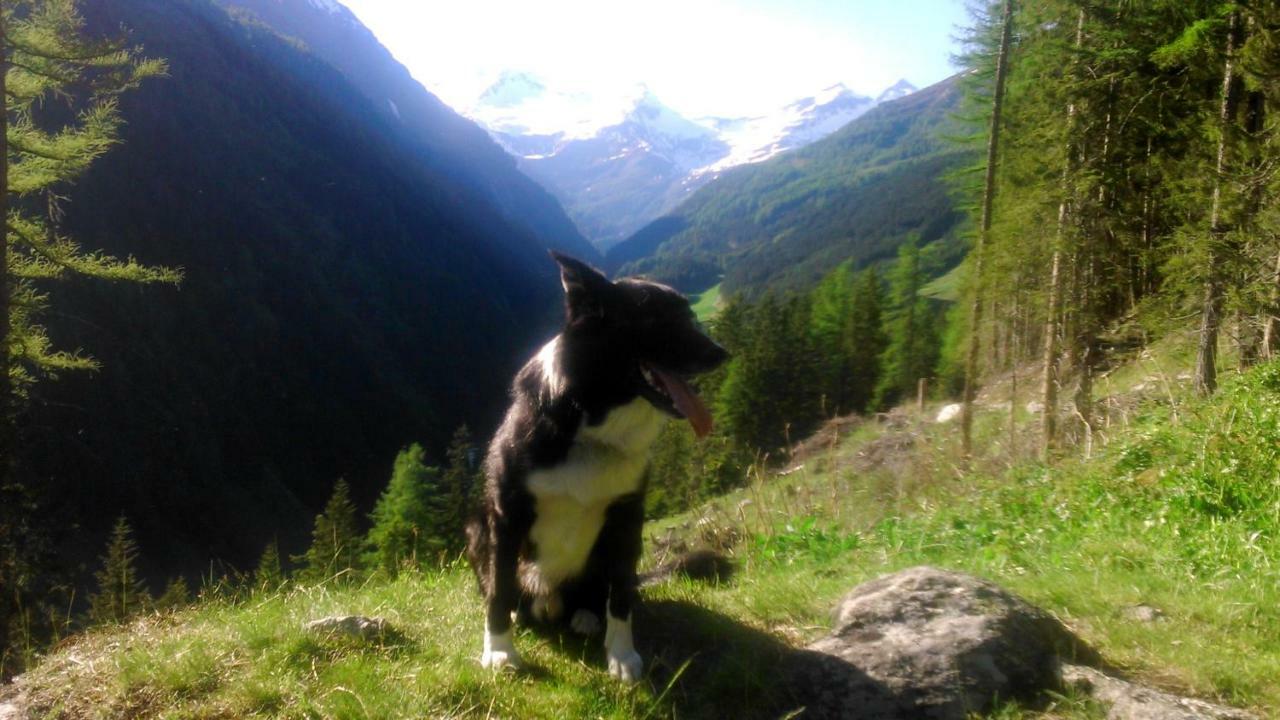 Apartmán Simiterhof Matrei in Osttirol Exteriér fotografie